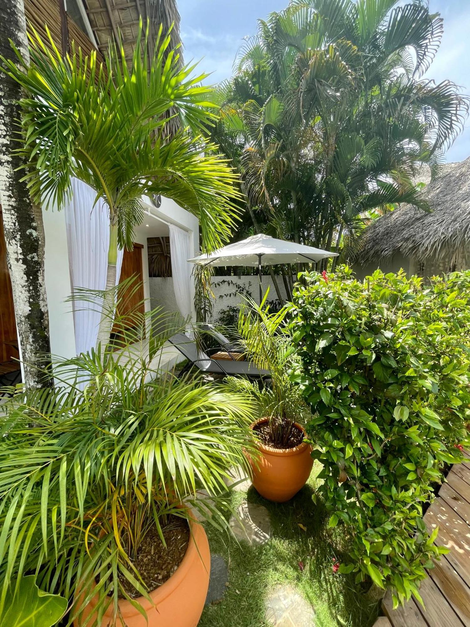 Leeloo Boutique Hotel Las Terrenas Kültér fotó
