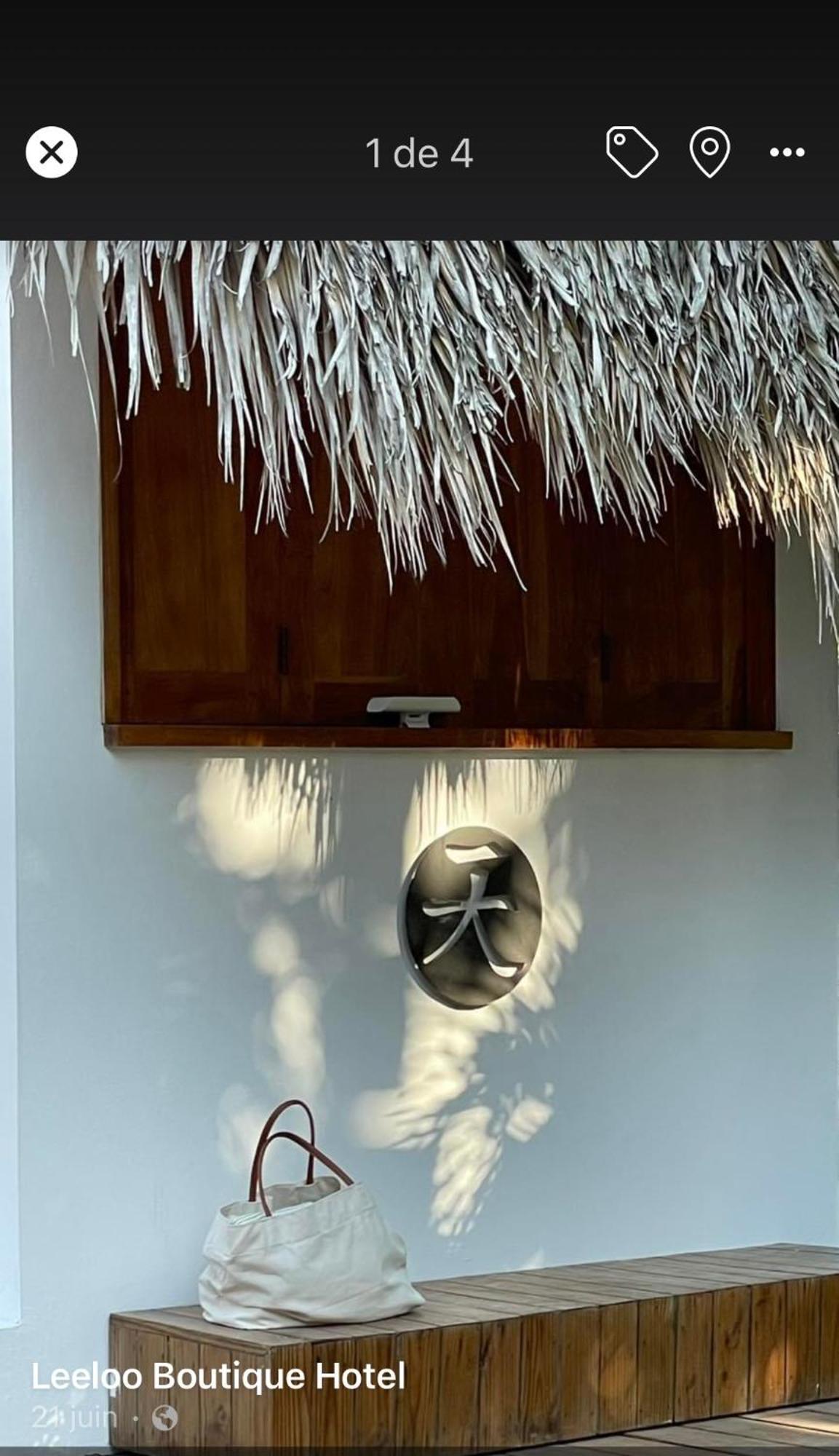 Leeloo Boutique Hotel Las Terrenas Kültér fotó